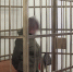 В Медведевском районе накрыли женскую нарколабораторию: наварили 2,7 кг - Pg12.Ru