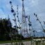 МТС накрыла сетью LTE  17 населенных пунктов Брянской области - Газета Брянские новости