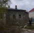 Ураганный ветер опрокинул остановочные павильоны и снёс деревья в Бузулуке - Ria56.Ru
