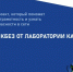Региональный урок в рамках просветительского проекта «Цифровой ликбез» от «Лаборатории Касперского» - Управление образования