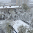 «Роскосмос» показал заснеженную Москву из космоса - ТК Санкт-Петербург