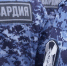 Волгоградские росгвардейцы пресекли нарушения правопорядка, совершенные в городе и области - Газета Заря