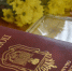 В День российского парламентаризма сотрудники Аппарата Орловского облсовета отмечены наградами - Совет народных депутатов