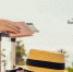 Эксперт рассказал, как выбрать страховку для выезжающих за границу - Global-Kaliningrad.Ru