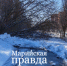 Жителей Марий Эл предупредили об опасном ветре 28 апреля - Марийская правда