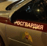 В Приморском районе росгвардейцы в ночном клубе задержали дебошира, пытавшегося оказать наряду сопротивление - Росгвардия