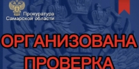 В Самаре под рухнувшим деревом погиб второй человек - TltGorod.Ru