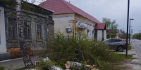 В Бузулуке сильный ветер повалил деревья и опрокинул остановочные павильоны - Yuzh-Ural.Ru