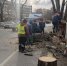 Сильный ветер причинил немало неприятностей жителям Великого Новгорода - 53news.Ru