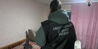 Ружье убило 12-летнего ребенка после охоты в Арзамасе - НИА Нижний Новгород