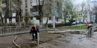В Нижнем Новгороде штормовой ветер повалил 18 деревьев - Newsroom24.Ru