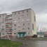 В Заинске сильный ветер повалил ветви дерева во дворе жилых домов - Новости Заинска