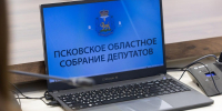 Комитет Собрания по экономической политике поддержал введение реестра ответственного бизнеса  - Pln-Pskov.Ru