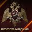 Ключевые события Росгвардии: итоги недели - Росгвардия