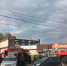 Огонь уничтожил животных: под Волгоградом сгорел зоомагазин - Комсомольская правда