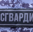 В Пскове сотрудники Росгвардии задержали подозреваемого в краже - Росгвардия