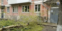 Число погибших из-за падения деревьев в Самарской области выросло до трех - M24.Ru