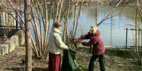 В месячнике чистоты в Тульской области приняли участие порядка 250 тыс. человек - ИА Новомосковск Сегодня