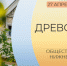 Прием заявок на участие в конкурсе городской Общественной палаты «Древо семьи» стартует в Нижнем Новгороде - Администрация г. Нижний Новгород