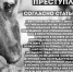 О догхантинге - Управление ветеринарии