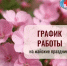 Как будут работать больницы Башкирии в майские праздники - Башинформ