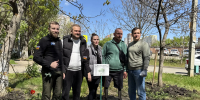 В рамках экологической акции «Дерево 2.0» в Краснодаре высадили первые деревья - Единая Россия