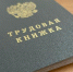 В Курской области появилось около 500 вакансий с зарплатой свыше 100 тысяч рублей - KurskTV.Ru