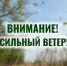 Внимание: усиление ветра 28 апреля - Администрация г. Тамбова