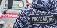 Мурманские росгвардейцы доставили в полицию дебоширку - Мурманский вестник