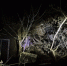Фото: t.me/sledcom58 - Penza-Post.Ru