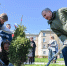 Аллею героев высадили у Михайловского кадетского корпуса в Воронеже - Обозреватель.Врн