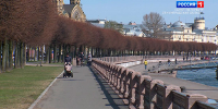 В Петербурге к концу недели потеплеет до +18 градусов - ГТРК Санкт-Петербург