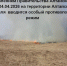 Постановлением Правительства Алтайского края № 115 от 24.04.2026 на территории Алтайского края с 25 апреля  вводится особый противопожарный режим. - Администрация Павловского района