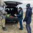 В Хабаровском крае с начала пожароопасного сезона зафиксировали 329 лесных палов - AmurMedia.Ru