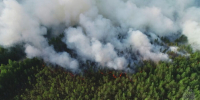 Лесной пожар в Краснокасмске - ParmaNews.Ru