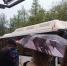 Какая погода ждет чепчан 28 апреля - Prochepetsk.ru