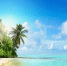 Фото: LedyX/Shutterstock/Fotodom - Ямал-Медиа