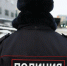Фото: Андрей Ткачёв / «Ямал-Медиа» - Красный Север