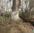 С заботой к городу - MyOmutninsk.Ru