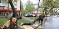 В Самаре завершают устранение последствий шквалистого ветра и дождя - Администрация городского округа Самара