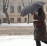 Сильный ветер и метель в Москве сохранятся в течение дня - Правительство Москвы