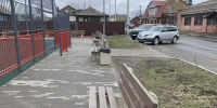 Красносельские спортсмены приняли участие в субботнике - KrasnoeNews.Ru