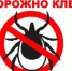 Внимание, клещи! - Кармаскалинский район