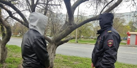В Тольятти задержали женщину с запрещенными веществами - ТК ТОЛЬЯТТИ 24