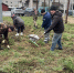 Весна – пора субботников - Администрация городского округа