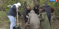 Более 33 тысяч самарцев вышли на уборку города по собственной инициативе - ГТРК Самара