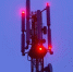 Фото: FastFlux | «Билайн бизнес»: российский рынок 5G в корпоративном сегменте может вырасти до 50 млрд рублей - PrimPress.Ru
