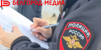 Белгородские полицейские установили обстоятельства массовой драки в центре города - Belnovosti.Ru