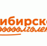 Забота о вашем здоровье: движение "Сибирское долголетие" помогает минусинцам старшего поколения. - Администрация