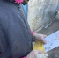 5bc3a3ba-5cce-4e93-ab7d-a3a85a8b3922 - МВД России по Запорожской области